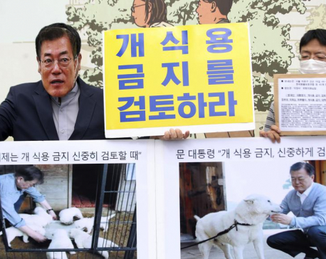 S. Korean leader’s review of ban on eating dog meat welcomed