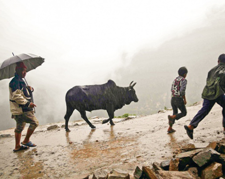 Rain likely in western Nepal for few more days
