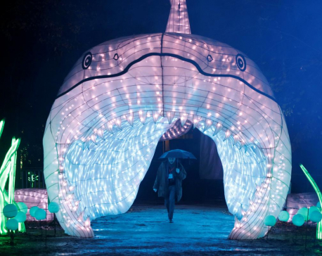 Sea animal lanterns shine in Paris