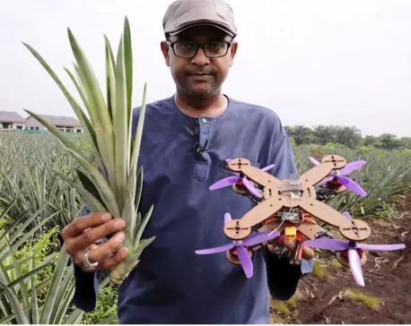 Malaysian team turns pineapple waste into disposable drone parts