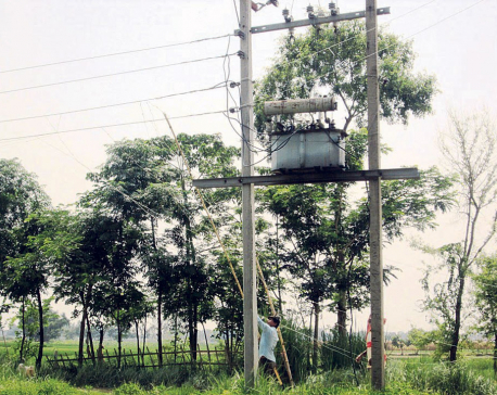 55 pc of households in Karnali consume free electricity