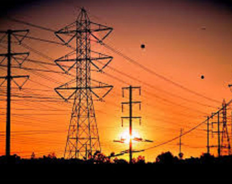 Electricity import from India reaches around 57 percent of total demand