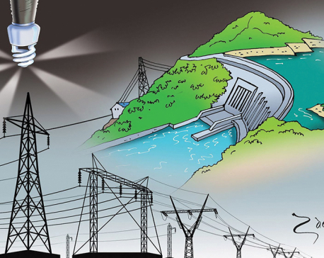 Take appropriate policy measures to seize hydro potential
