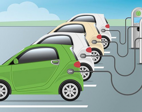Import of electric vehicles increased by 600 percent last year