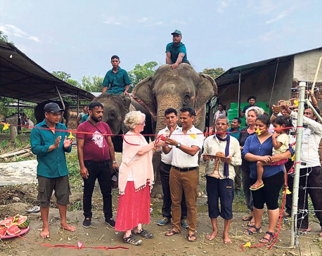 Privately owned elephants freed from shackles