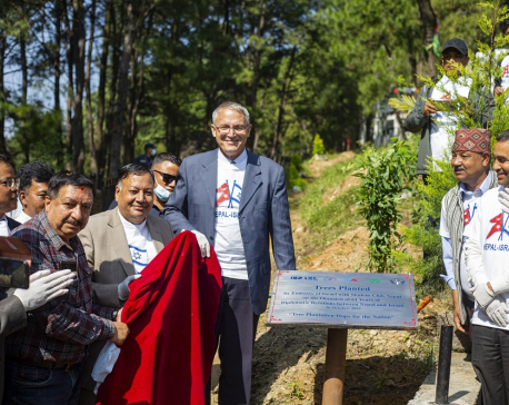 Tree plantation to mark 61 years of diplomatic relationship between Nepal and Israel