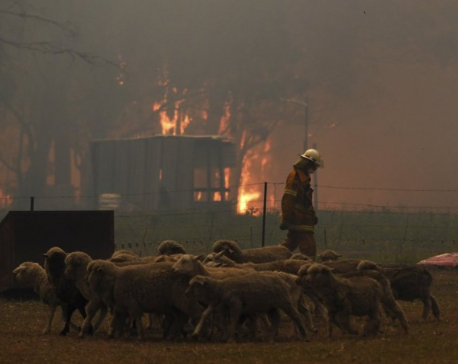 2 firefighters die, 3 hurt as wildfires ravage Australia