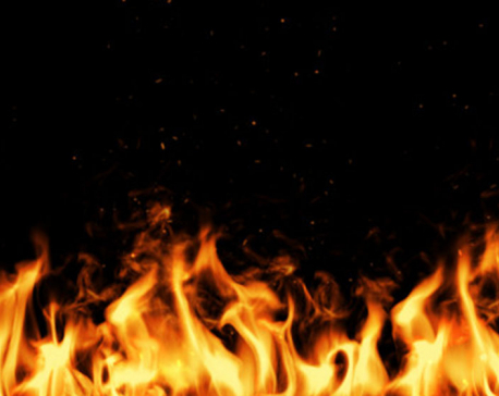Huge fire in Udayapur, 7 houses gutted