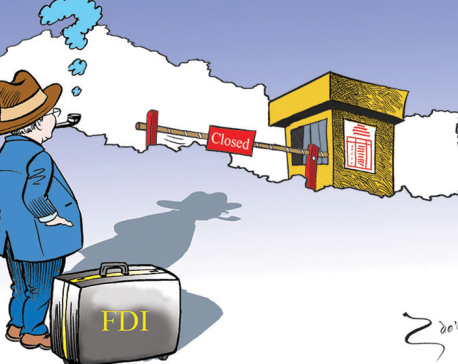 Nepal’s FDI Landscape: Issues and Solutions