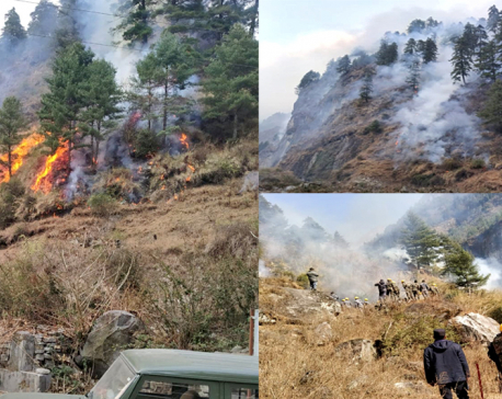 Forest fire continues in Manang