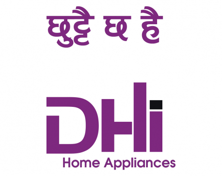 DHI launches refrigerator and mixer grinder