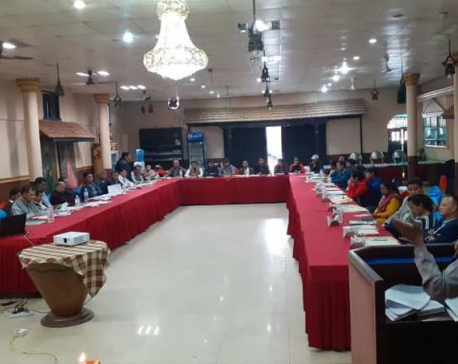 'Nepali Traditional Craftsmanship Seminar-2019' concluded