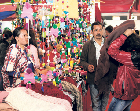 Handicraft fair attracts 25,000 visitors on second day