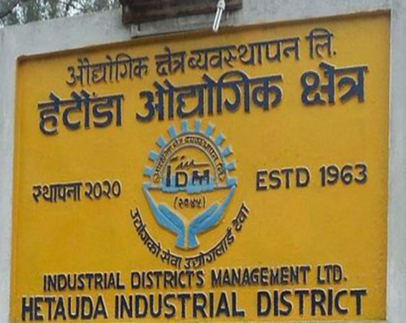 Factories in Hetauda Industrial Estate in dire straits