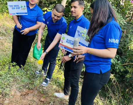 Lumbini World Peace Forum and NIMB Bank accelerate plantation drive across provinces as Part of ‘One Account, One Tree’ initiative