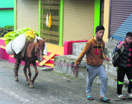 Indians transport everyday commodities from Nepal to Darjeeling