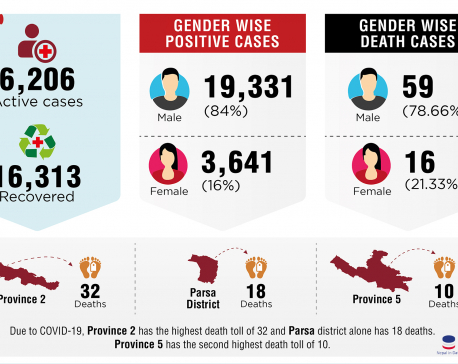 Infographics: Nepal's COVID-19 updates