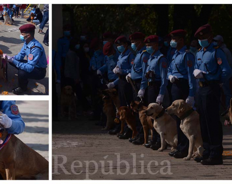 Nepal Police celebrate Kukur Tihar  (With photos)