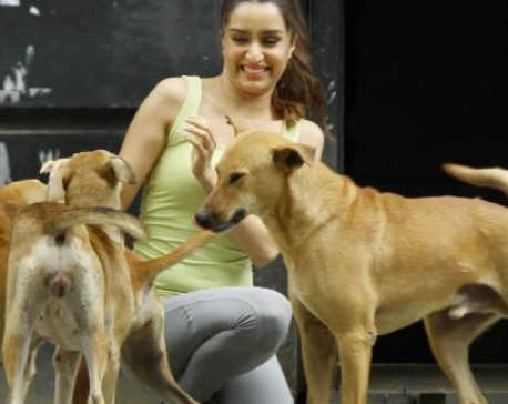 Shraddha Kapoor donates to help feed stray animals during lockdown