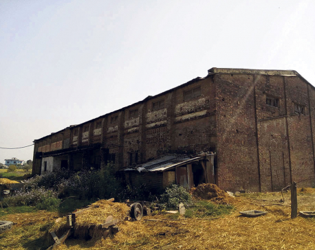 Large-scale rice mills of Kailali left in ruins