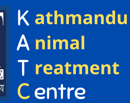 NGO operators in Kathmandu deny embezzlement of UK donation meant for treatment of street dogs, claim that they are not local board of KAT UK