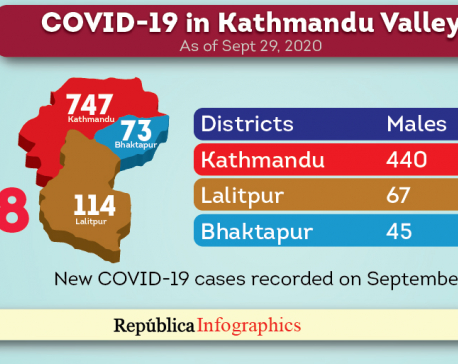 Kathmandu Valley records highest single-day spike of 934 new cases of COVID-19