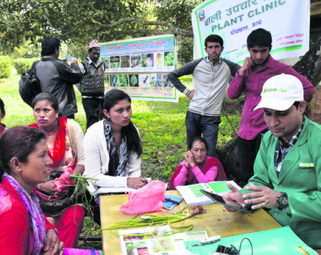 Kavre farmers benefiting from e-plant clinics