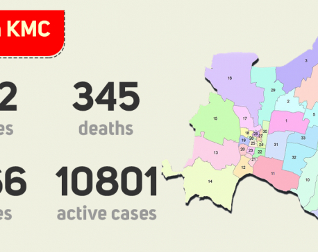 Kathmandu Metropolis has 10,801 active cases, 345 deaths reported so far