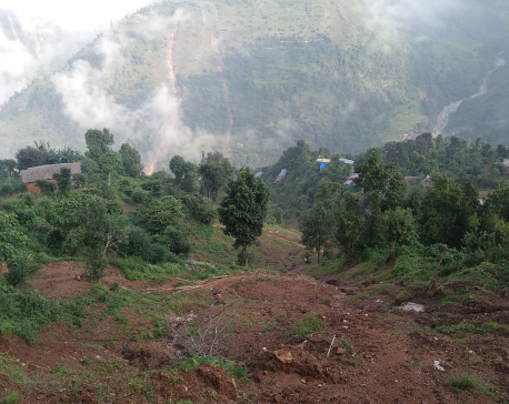 Art therapy to heal wounds of July landslides in Gulmi