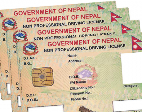 Investigations reveal fake licenses were issued ‘under higher orders’