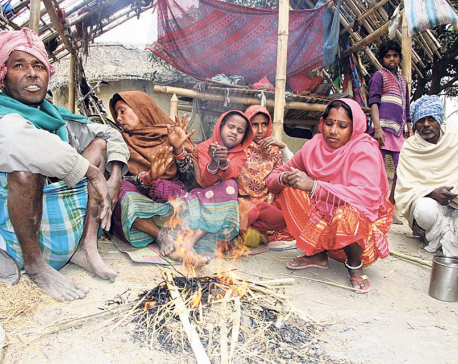 Cold starts taking its toll in Madhes