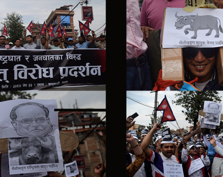 Rastriya Yuwa Sangh Nepal holds march demonstration at Maitighar (Photo Feature)