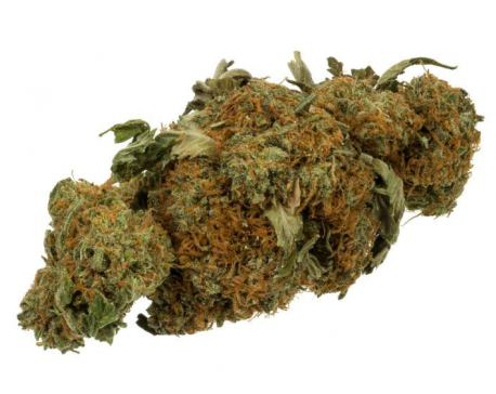 4 including 3 Indian nat’ls held with 40 kg marijuana