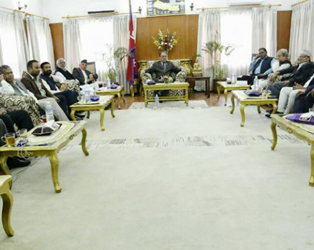 PM buys time for consensus on constitution amendment