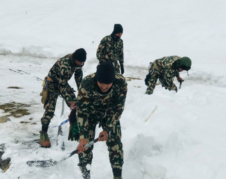 Nepal Army begins rescue and search operation in Annapurna region ( with photos)