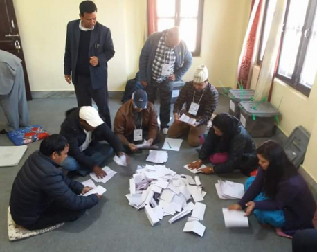 NA election vote counting begins