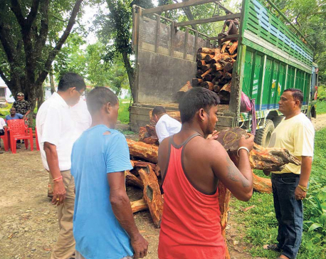 Nexus between officials, smugglers abetting deforestation