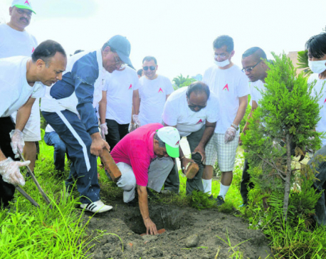 Nabil Bank organizes tree plantation program