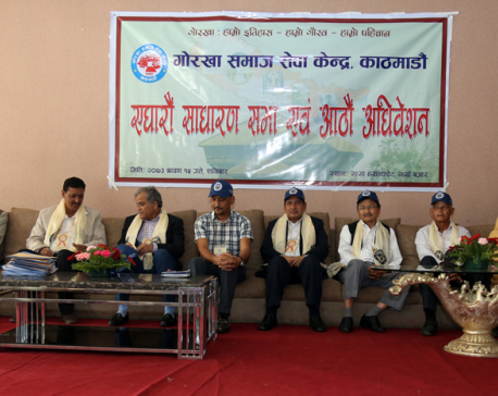 Slim chance for consensus govt: Shrestha