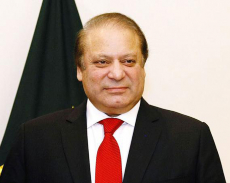 Pakistan's PM appears before panel investigating family wealth