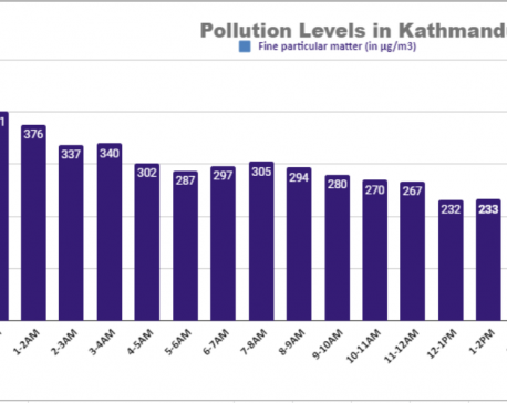 Air pollution emergency in Kathmandu