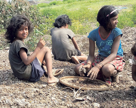 Children scavenging on scrap to pay for their education