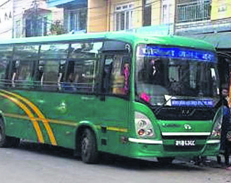 Night bus also in Pokhara