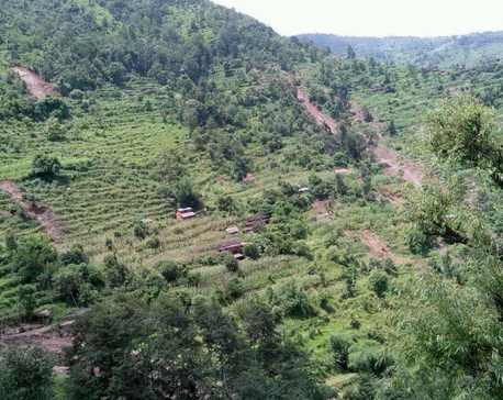 Scores displaced by landslides in Nishikhola rural municipality