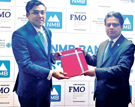 NMB Bank signs loan mandate with IFC