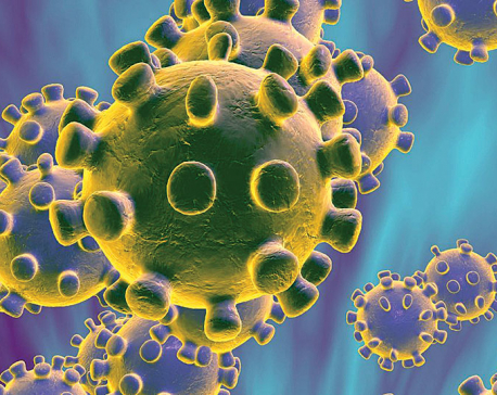 How to reduce the spread of coronavirus