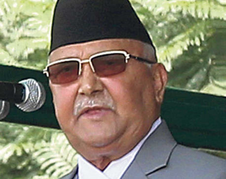 Govt won’t tolerate use of Nepal as guinea pig over rights: PM