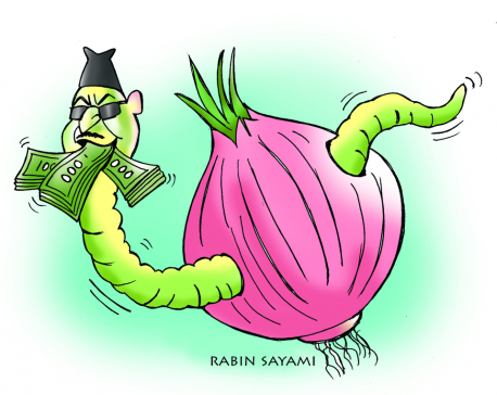 Why Rs 155 million ‘Mission Onion’ failed