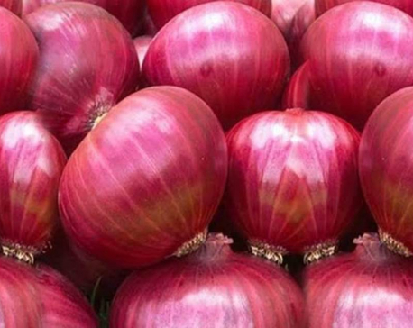 India bans onion export till March amid its rising price in domestic market