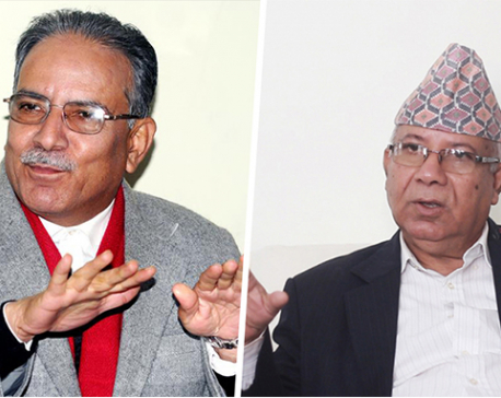 Opposition alliance urges state organs not to support govt’s anti-constitutional activities